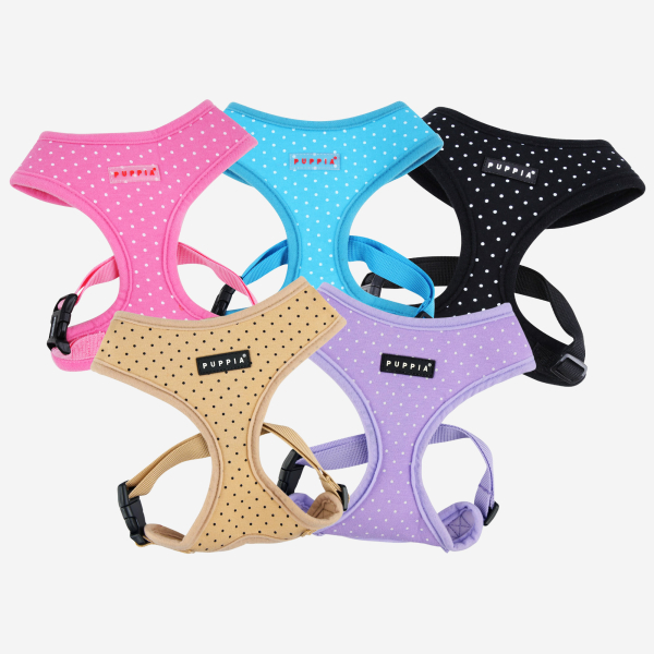 DOTTY HARNESS A