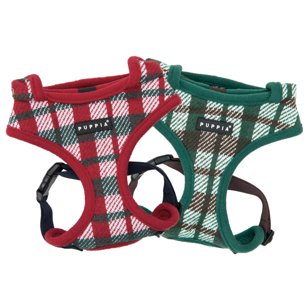FESTIVE HARNESS A