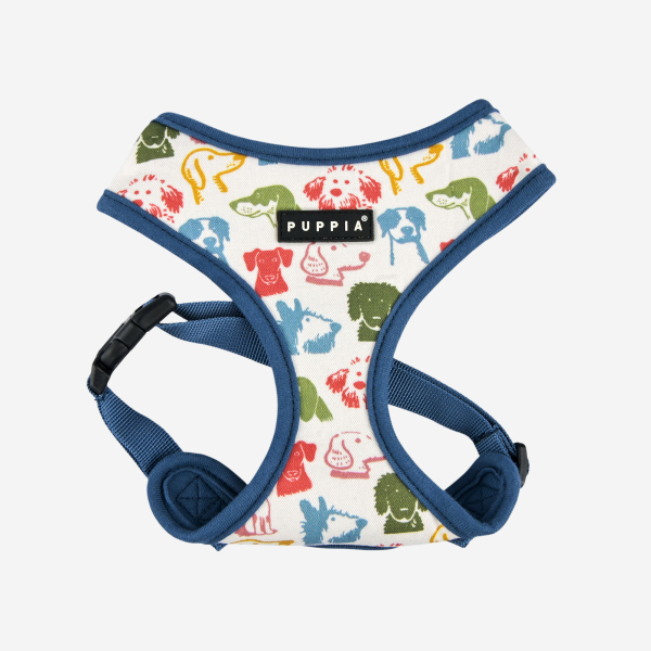 CONNOR HARNESS A